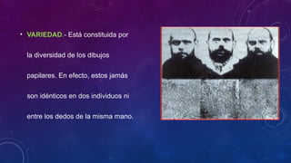 • VARIEDAD.- Está constituida por
la diversidad de los dibujos
papilares. En efecto, estos jamás
son idénticos en dos individuos ni
entre los dedos de la misma mano.
 