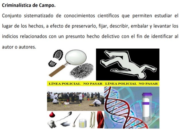 Criminalistica de Campo