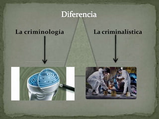 La criminología La criminalística
 