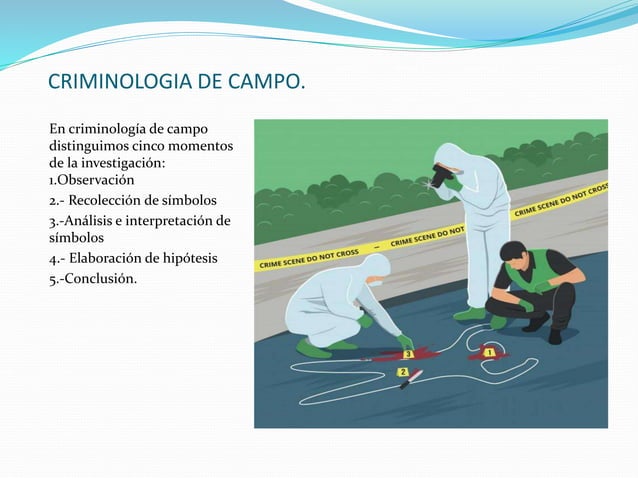 Que Es La Criminalistica De Campo
