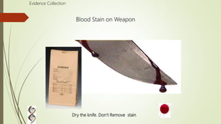 Blood Stain on Weapon
Evidence Collection
Dry the knife. Don’t Remove stain
 