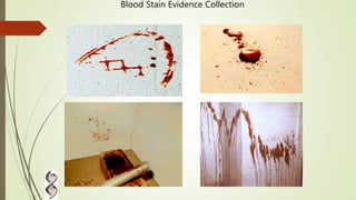 Blood Stain Evidence Collection
 