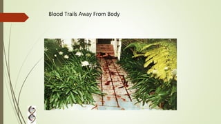 Blood Trails Away From Body
 