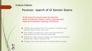 Forensic search of of Semen Stains
Evidence Collection
At the scene of a sexual assault, the search for
semen includes the corpse or victim, underwear, bed
sheets and mattresses, carpeting, and flooring.
 Clothes are examined for the presence of blood and
seminal stains, tears and mud.
 Any marks or suspicious stains are preserved for
examination by the chemical examiner.
 Stands on clean sheet of paper, and anything that falls is
preserved – earth, buttons, hair.
 Foreign hair preserved and compared with accused.
 