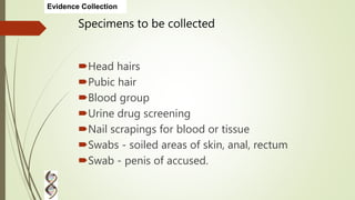 Specimens to be collected
Head hairs
Pubic hair
Blood group
Urine drug screening
Nail scrapings for blood or tissue
Swabs - soiled areas of skin, anal, rectum
Swab - penis of accused.
Evidence Collection
 