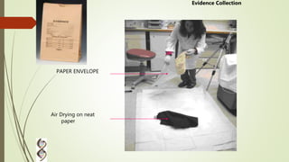 PAPER ENVELOPE
Air Drying on neat
paper
Evidence Collection
 