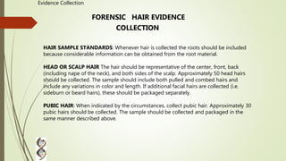 FORENSIC HAIR EVIDENCE
COLLECTION
HAIR SAMPLE STANDARDS: Whenever hair is collected the roots should be included
because considerable information can be obtained from the root material.
HEAD OR SCALP HAIR The hair should be representative of the center, front, back
(including nape of the neck), and both sides of the scalp. Approximately 50 head hairs
should be collected. The sample should include both pulled and combed hairs and
include any variations in color and length. If additional facial hairs are collected (i.e.
sideburn or beard hairs), these should be packaged separately.
PUBIC HAIR: When indicated by the circumstances, collect pubic hair. Approximately 30
pubic hairs should be collected. The sample should be collected and packaged in the
same manner described above.
Evidence Collection
 