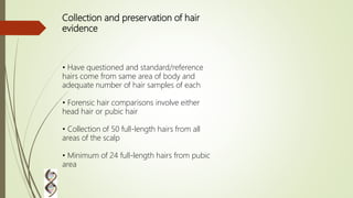 Collection and preservation of hair
evidence
• Have questioned and standard/reference
hairs come from same area of body and
adequate number of hair samples of each
• Forensic hair comparisons involve either
head hair or pubic hair
• Collection of 50 full-length hairs from all
areas of the scalp
• Minimum of 24 full-length hairs from pubic
area
 