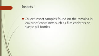 Insects
Collect insect samples found on the remains in
leakproof containers such as film canisters or
plastic pill bottles
 