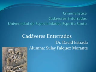 CriminalísticaCadaveres EnterradosUniversidad de Especialidades Espiritu Santo Cadáveres Enterrados Dr. David Estrada Alumna: Sulay Falquez Morante 