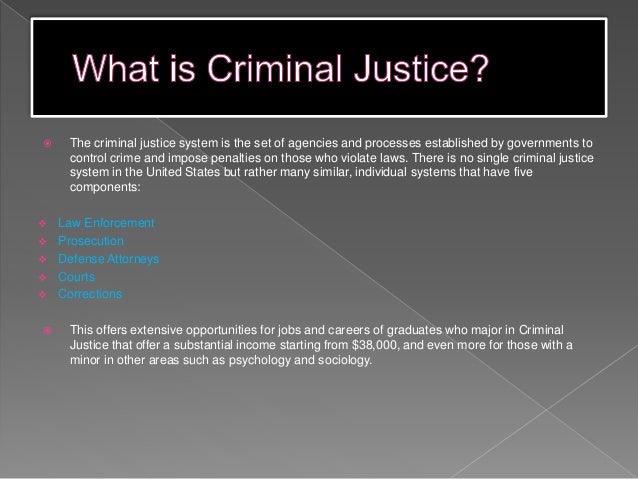 The Components Of The Criminal Justice System