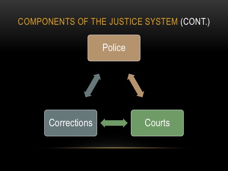 The Components Of The Criminal Justice System