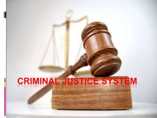 CRIMINAL JUSTICE SYSTEM
 