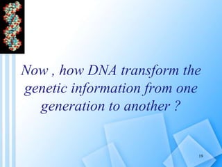 Now , how DNA transform the
genetic information from one
generation to another ?
19
 