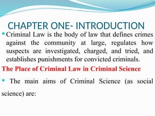 Comprehensive Overview of Criminal Law Principles and Ethiopian Legal ...