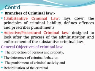 Comprehensive Overview of Criminal Law Principles and Ethiopian Legal ...