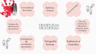 DISCIPLINAS
CIENTÍFICAS
Técnicas
forenses de
laboratorio
(química, física
y biología)
Criminalística
de campo
Balística
forense
Docum
entología
Investigación
de
accidentes
de tránsito
Fotografía
forense.
Explosivos e
incendios
Sistemas de
identificación
de personas
 