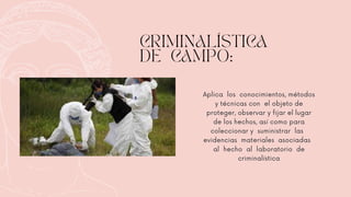 CRIMINALÍSTICA
DE CAMPO:
Aplica los conocimientos, métodos
y técnicas con el objeto de
proteger, observar y fijar el lugar
de los hechos, así como para
coleccionar y suministrar las
evidencias materiales asociadas
al hecho al laboratorio de
criminalística
 