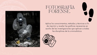 FOTOGRAFÍA
FORENSE.
Aplica los conocimientos, métodos y técnicas a fin
de imprimir y revelar las gráficas necesarias en
auxilio de las investigaciones que aplican a todas
las disciplinas de la criminalística
 