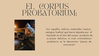 EL CORPUS
PROBATORIUM:
Son aquellos indicios materiales (rastros,
vestigios, huellas) que fueron dejados por el
imputado en el sitio del suceso producto de
su actuar delictivo. A nivel criminalístico-
probatorio se le denominan "piezas de
convicción”
 