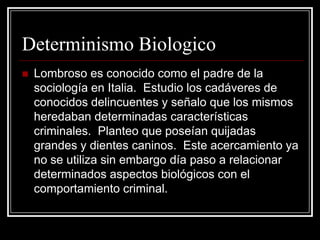 Determinismo Biologico
   Lombroso es conocido como el padre de la
    sociología en Italia. Estudio los cadáveres de
    conocidos delincuentes y señalo que los mismos
    heredaban determinadas características
    criminales. Planteo que poseían quijadas
    grandes y dientes caninos. Este acercamiento ya
    no se utiliza sin embargo día paso a relacionar
    determinados aspectos biológicos con el
    comportamiento criminal.
 