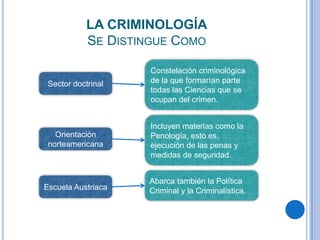LA CRIMINOLOGÍA
            SE DISTINGUE COMO

                     Constelación criminológica
 Sector doctrinal    de la que formarían parte
                     todas las Ciencias que se
                     ocupan del crimen.


                     Incluyen materias como la
   Orientación       Penología, esto es,
 norteamericana      ejecución de las penas y
                     medidas de seguridad.


                    Abarca también la Política
Escuela Austriaca   Criminal y la Criminalística.
 