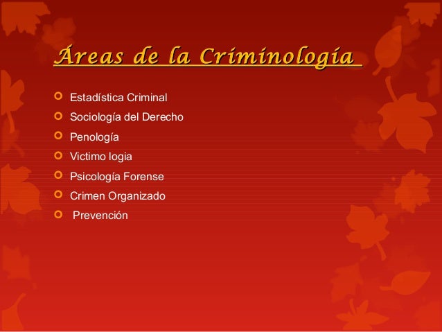 Areas De Estudio De La Criminologia