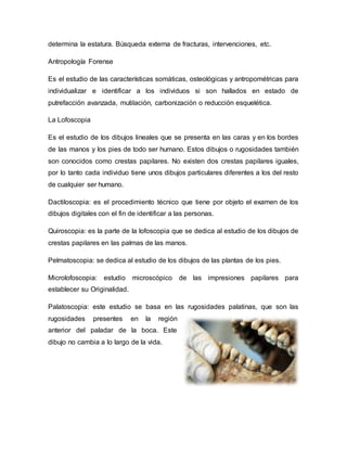 determina la estatura. Búsqueda externa de fracturas, intervenciones, etc.
Antropología Forense
Es el estudio de las características somáticas, osteológicas y antropométricas para
individualizar e identificar a los individuos si son hallados en estado de
putrefacción avanzada, mutilación, carbonización o reducción esquelética.
La Lofoscopia
Es el estudio de los dibujos lineales que se presenta en las caras y en los bordes
de las manos y los pies de todo ser humano. Estos dibujos o rugosidades también
son conocidos como crestas papilares. No existen dos crestas papilares iguales,
por lo tanto cada individuo tiene unos dibujos particulares diferentes a los del resto
de cualquier ser humano.
Dactiloscopia: es el procedimiento técnico que tiene por objeto el examen de los
dibujos digitales con el fin de identificar a las personas.
Quiroscopia: es la parte de la lofoscopia que se dedica al estudio de los dibujos de
crestas papilares en las palmas de las manos.
Pelmatoscopia: se dedica al estudio de los dibujos de las plantas de los pies.
Microlofoscopia: estudio microscópico de las impresiones papilares para
establecer su Originalidad.
Palatoscopia: este estudio se basa en las rugosidades palatinas, que son las
rugosidades presentes en la región
anterior del paladar de la boca. Este
dibujo no cambia a lo largo de la vida.
 