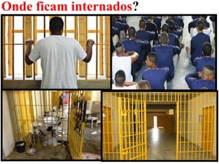Onde ficam internados?
24
 