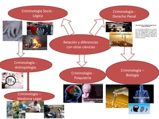 Relación y diferencias
con otras ciencias
Criminología -
Derecho Penal
Criminología –
Biología
Criminología -
Psiquiatría
Criminología Socio -
Lógica
Criminología -
Antropología
Criminología –
Medicina Legal
 