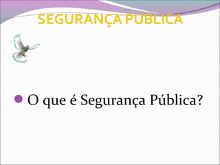 O que é Segurança Pública?
 