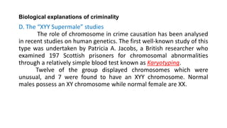 Biological explanations of criminality
D. The “XYY Supermale” studies
The role of chromosome in crime causation has been analysed
in recent studies on human genetics. The first well-known study of this
type was undertaken by Patricia A. Jacobs, a British researcher who
examined 197 Scottish prisoners for chromosomal abnormalities
through a relatively simple blood test known as Karyotyping.
Twelve of the group displayed chromosomes which were
unusual, and 7 were found to have an XYY chromosome. Normal
males possess an XY chromosome while normal female are XX.
 