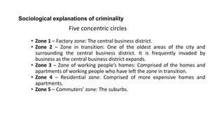 Sociological explanations of criminality
Five concentric circles
• Zone 1 – Factory zone: The central business district.
• Zone 2 – Zone in transition: One of the oldest areas of the city and
surrounding the central business district. It is frequently invaded by
business as the central business district expands.
• Zone 3 – Zone of working people’s homes: Comprised of the homes and
apartments of working people who have left the zone in transition.
• Zone 4 – Residential zone: Comprised of more expensive homes and
apartments.
• Zone 5 – Commuters’ zone: The suburbs.
 