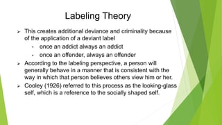 rehabilitation theories