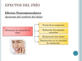 EFECTOS DEL FRÍO
Efectos Neuromusculares
Aumento del umbral del dolor
Teoría de la compuerta
Reducción del espasmo
muscular
Disminuye la sensación de
dolor
Disminución en la velocidad
de conducción
Disminución del edema
 