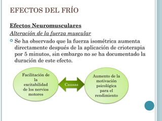 EFECTOS DEL FRÍO
Efectos Neuromusculares
Alteración de la fuerza muscular
 Se ha observado que la fuerza isométrica aumenta
directamente después de la aplicación de crioterapia
por 5 minutos, sin embargo no se ha documentado la
duración de este efecto.
Facilitación de
la
excitabilidad
de los nervios
motores
Aumento de la
motivación
psicológica
para el
rendimiento
Causas
 
