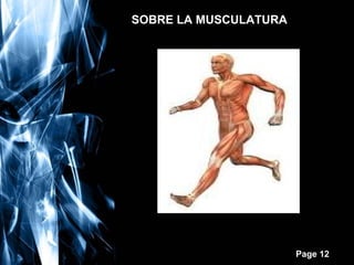 SOBRE LA MUSCULATURA

Free Powerpoint Templates

Page 12

 