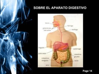 SOBRE EL APARATO DIGESTIVO

Free Powerpoint Templates

Page 14

 