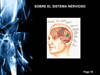 SOBRE EL SISTEMA NERVIOSO

Free Powerpoint Templates

Page 18

 