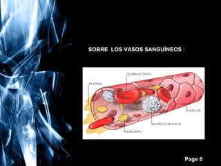 SOBRE LOS VASOS SANGUÍNEOS :

Free Powerpoint Templates

Page 8

 