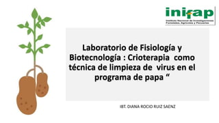 Laboratorio de Fisiología y
Biotecnología : Crioterapia como
técnica de limpieza de virus en el
programa de papa “
IBT. DIANA ROCIO RUIZ SAENZ
 