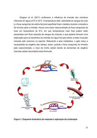 20
Gregson et al. (2011) verificaram a influência da imersão dos membros
inferiores em água a 8°C e 22°C. A temperatura retal, velocidade do sangue da coxa
e o fluxo sanguíneo da artéria femoral superficial foram medidos durante a imersão e
30 minutos após a imersão. Houve uma maior vasoconstrição do fluxo sanguíneo da
coxa em temperatura de 8°C, em que temperaturas mais frias podem estar
associadas com fluxo reduzido de sangue do músculo, o que poderia fornecer uma
explicação para os benefícios da imersão em água fria para aliviar a lesão muscular
induzida pelo exercício no esporte. Reduzindo a taxa metabólica, o gelo reduz a
necessidade de oxigênio das células, assim, quando o fluxo sanguíneo for limitado
pela vasoconstrição, o risco de morte celular devido às demandas de oxigênio
(necrose celular secundária) será diminuído
Figura 1. Esquema ilustrativo da resposta à aplicação da crioterapia.
 