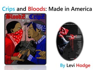 Crips and Bloods: Made in America 
By Levi Hodge 
 