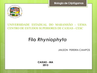 UNIVERSIDADE ESTADUAL DO MARANHÃO - UEMA
CENTRO DE ESTUDOS SUPERIORES DE CAXIAS - CESC

JAILSON PEREIRA CAMPOS

CAXIAS - MA
2013

 