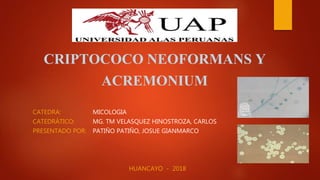 CRIPTOCOCO NEOFORMANS Y
ACREMONIUM
CATEDRA: MICOLOGIA
CATEDRÁTICO: MG. TM VELASQUEZ HINOSTROZA, CARLOS
PRESENTADO POR: PATIÑO PATIÑO, JOSUE GIANMARCO
HUANCAYO - 2018
 