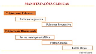 CRIPTOCOCOSE
MANIFESTAÇÕES CLINICAS
Criptococose Pulmonar
Criptococose Disseminada
Pulmonar regressiva
Pulmonar Progressiva
Forma meningo-encefálica
Forma Cutânea
Forma Óssea
 