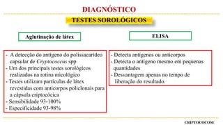 Aglutinação de látex ELISA
- Detecta antígenos ou anticorpos
- Detecta o antígeno mesmo em pequenas
quantidades
- Desvantagem apenas no tempo de
liberação do resultado.
- A detecção do antígeno do polissacarídeo
capsular de Cryptococcus spp
- Um dos principais testes sorológicos
realizados na rotina micológico
- Testes utilizam partículas de látex
revestidas com anticorpos policlonais para
a cápsula criptocócica
- Sensibilidade 93-100%
- Especificidade 93-98%
CRIPTOCOCOSE
DIAGNÓSTICO
TESTES SOROLÓGICOS
 