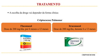  A escolha da droga vai depender da forma clínica
Criptococose Pulmonar
Fluconazol
Dose de 200 mg/dia, por 6 meses a 12 meses
Itraconazol
Dose de 200 mg/dia, durante 6 a 12 meses
CRIPTOCOCOSE
TRATAMENTO
 