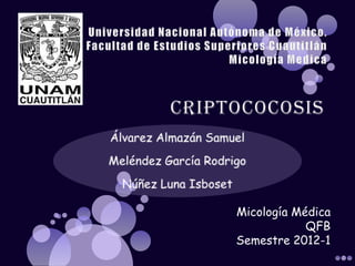 Micología Médica
            QFB
Semestre 2012-1
 
