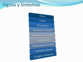 Signos y Sintomas

 